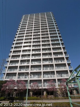 藤和志木タワーの物件外観写真